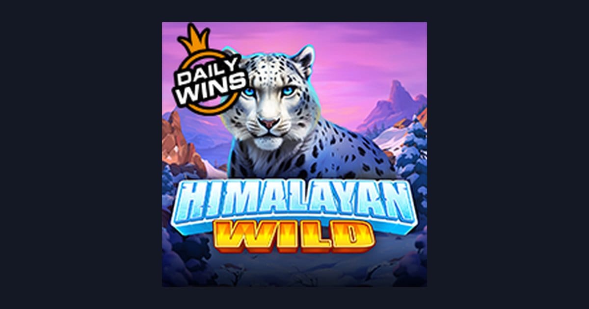 Jurus Jitu Main Himalayan Wild, Slot Anti Boncos dari Pragmatic Play